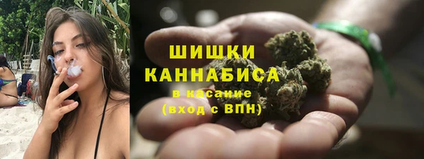 ПСИЛОЦИБИНОВЫЕ ГРИБЫ Абаза